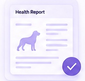 A health report marked as validated.