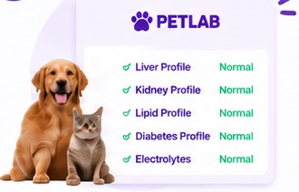 A dog and cat beside a PETLAB report listing profiles marked normal.